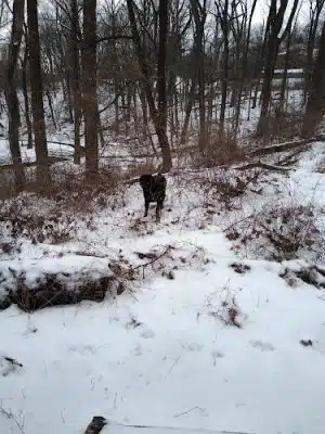 Mineral Spring Park
