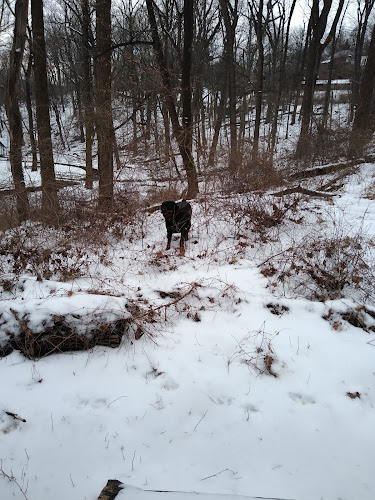 Mineral Spring Park