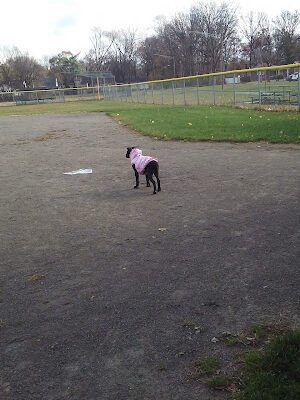 Claude Allison Park