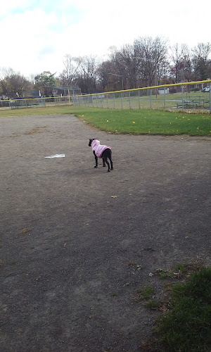 Claude Allison Park