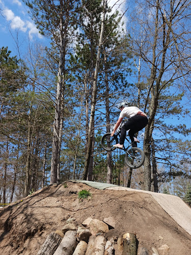 Reed city bike park