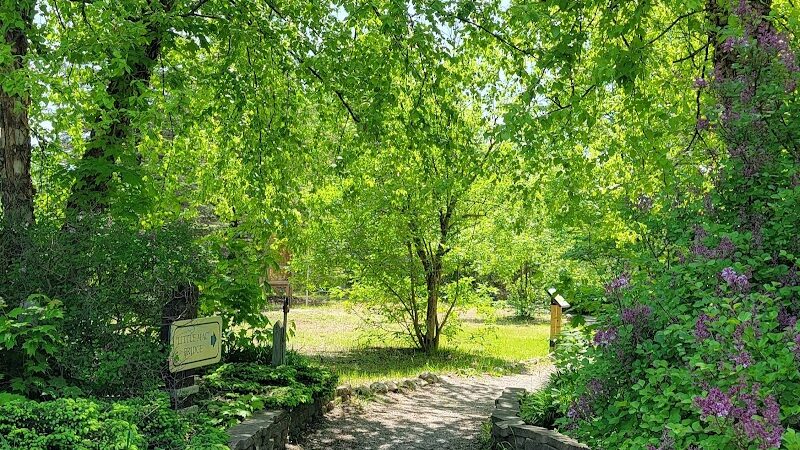 Rambadt Park - Reed City,