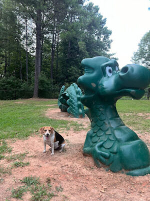 Tyger Run Dog Park