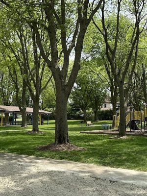 Elmwood Park