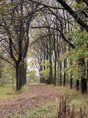 Reinbeck Greenbelt Area