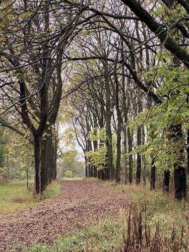 Reinbeck Greenbelt Area