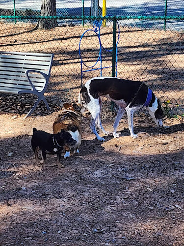 Barkyard Dog Park