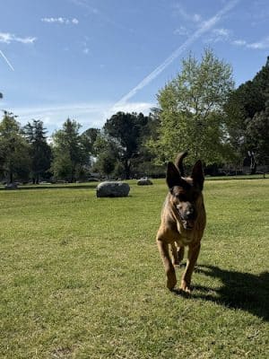 Randal D. Simmons Park