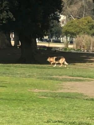 Reseda Park