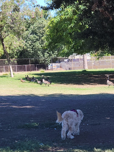 Reseda Park Lake