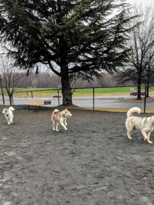 Baron Cameron Park