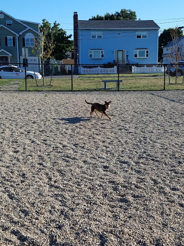 Paws & Play Dog Park