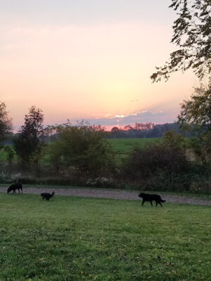 Richland Township Park