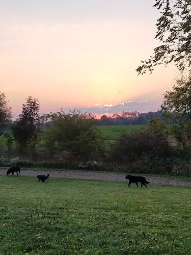 Richland Township Park