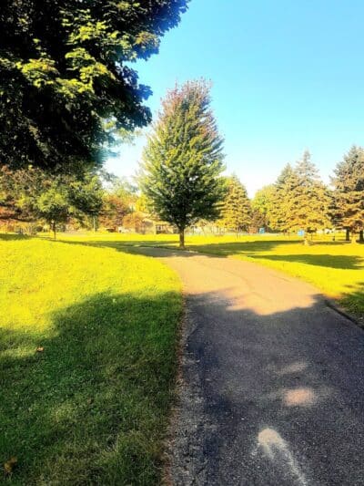 Beebe Street Park - Richmond,