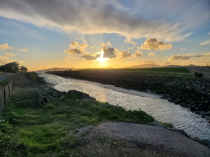 Point Isabel Dog Park - Richmond, CA