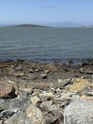 Point Isabel Dog Park