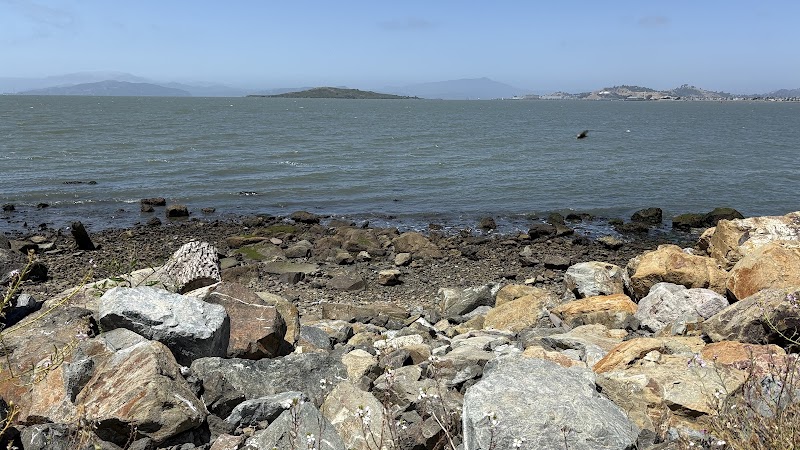 Point Isabel Dog Park - Richmond, CA