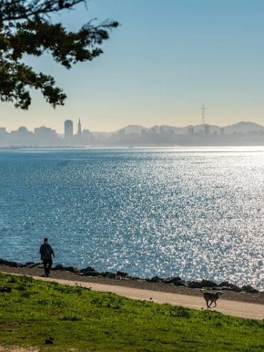 Point Isabel Dog Park