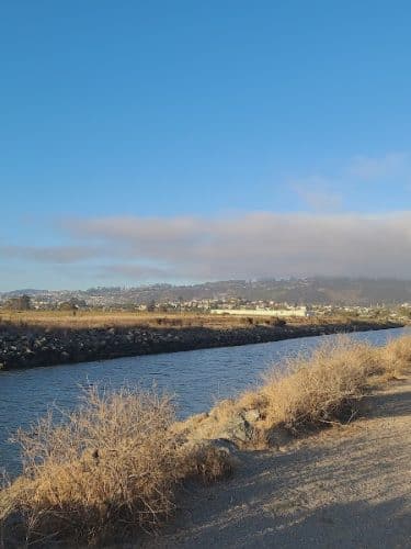 Point Isabel Dog Park