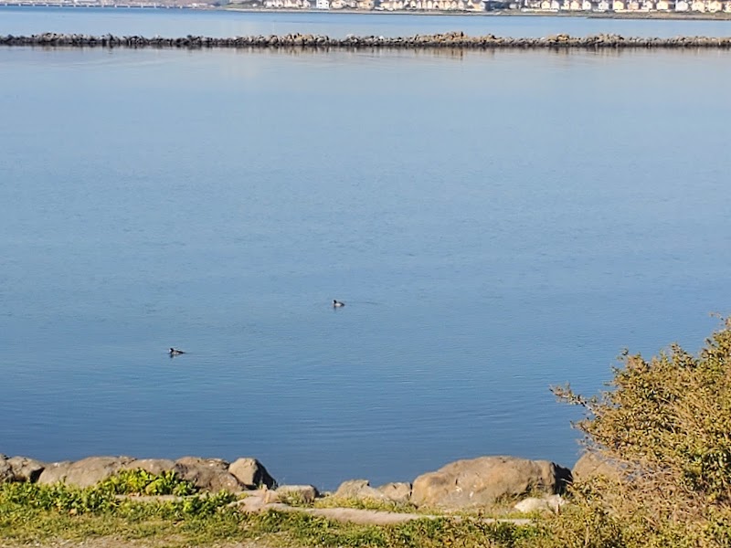 Point Isabel Dog Park - Richmond, CA