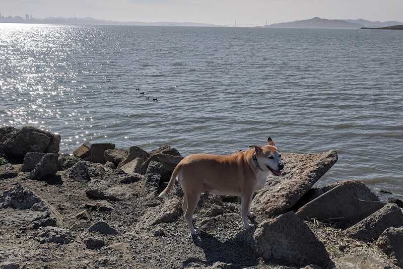 Point Isabel Dog Park - Richmond, CA