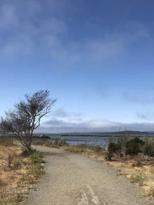 Point Isabel Dog Park