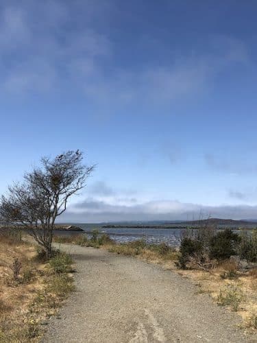 Point Isabel Dog Park