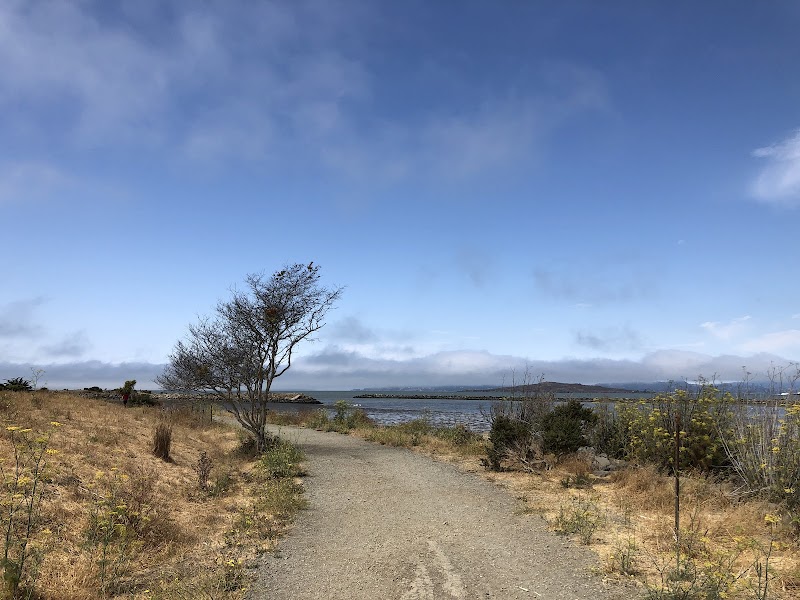Point Isabel Dog Park - Richmond, CA