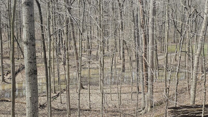 Columbus County Park Sledding Hill - Richmond,