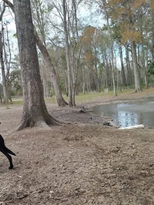 Bryan County Bark Park - Richmond Hill, GA