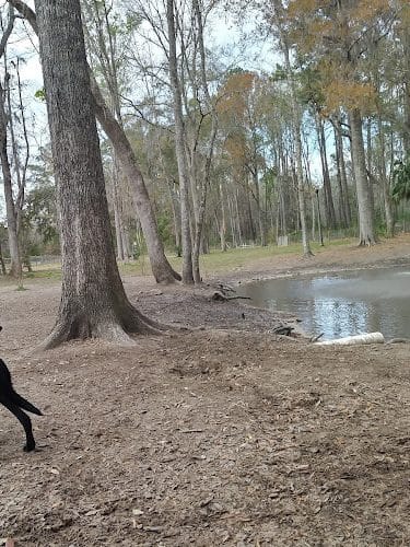 Bryan County Bark Park - Richmond Hill, GA