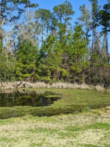 Bryan County Bark Park - Richmond Hill, GA