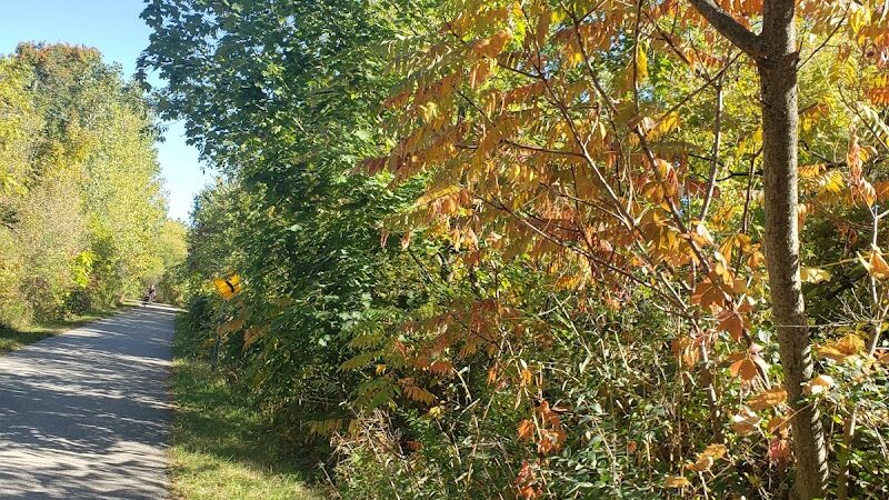 Macomb Orchard Trail - Richmond Trailhead - Richmond,