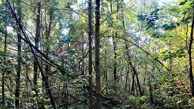Macomb Orchard Trail - Richmond Trailhead - Richmond,