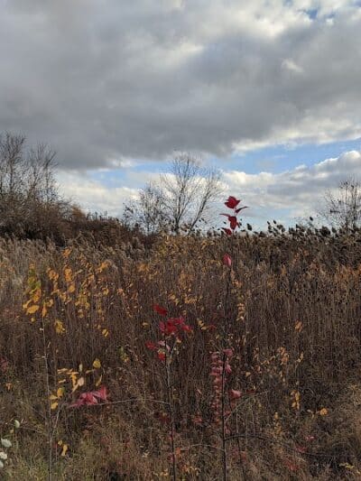 Macomb Orchard Trail - Richmond Trailhead - Richmond,