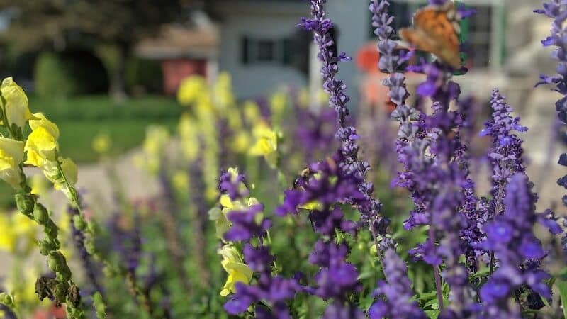 Richmond Parks & Recreation - Richmond,