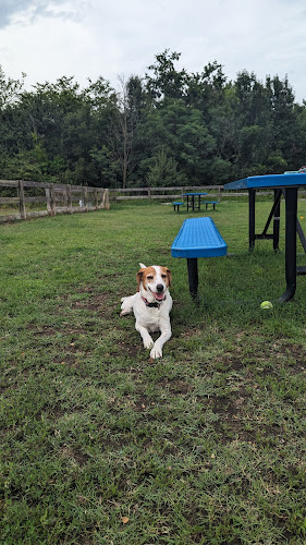 Northside Dog Park - Richmond, VA