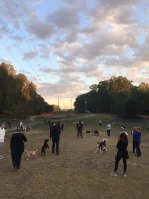 Rockwood Park Dog Park