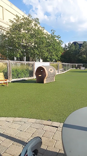 Stony Point Dog Park