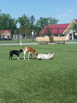Short Pump Park