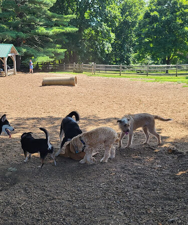 Bark Park Dog Park