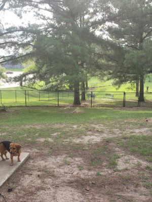 Dog Park at The Rez