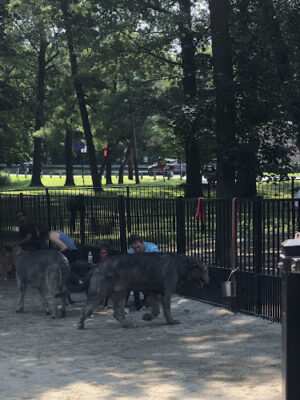 Ridgewood Dog Park