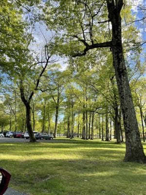 Saddle River County Park-Wild Duck Pond Area