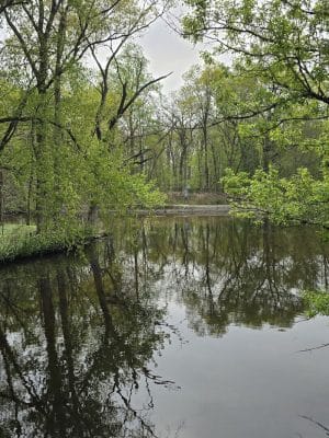 Saddle River County Park-Wild Duck Pond Area