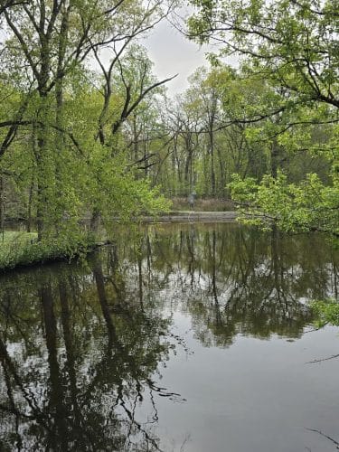 Saddle River County Park-Wild Duck Pond Area