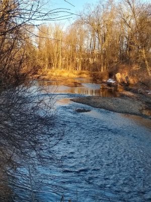 Saddle River County Park-Wild Duck Pond Area