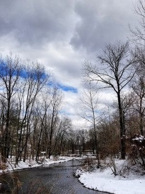 Saddle River County Park-Wild Duck Pond Area