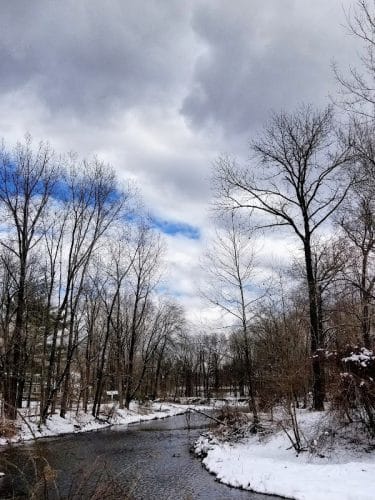 Saddle River County Park-Wild Duck Pond Area